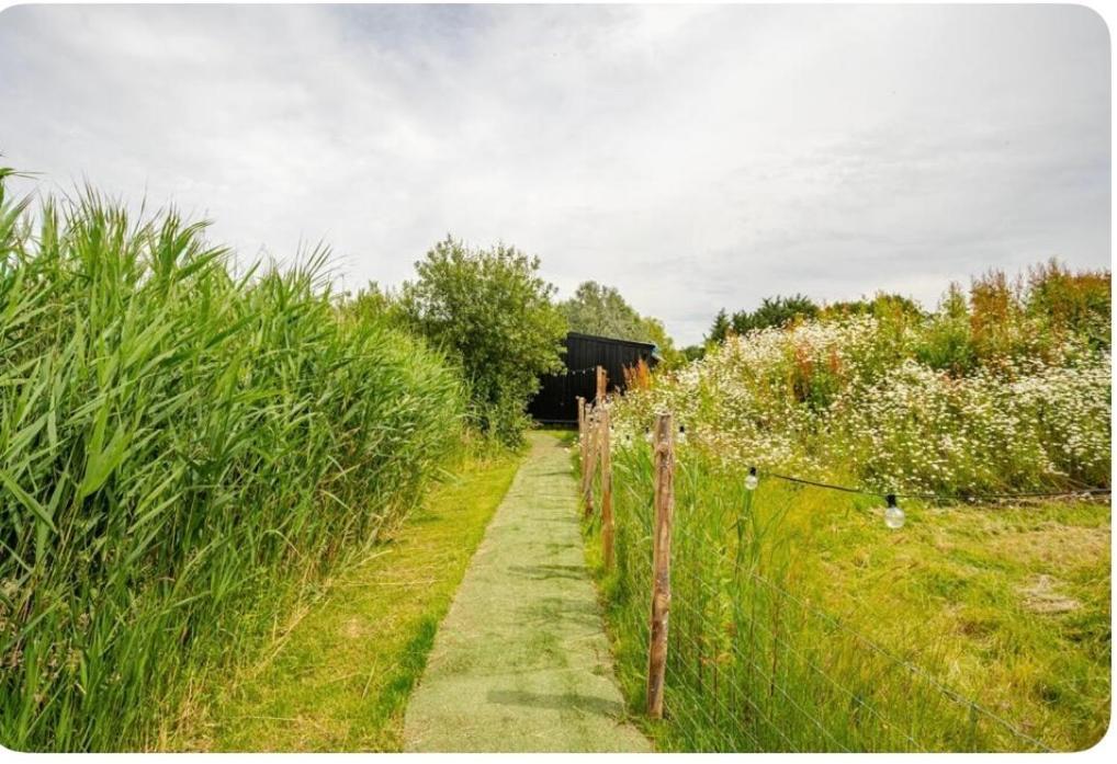 Вилла Reeds Retreat Ашфорд Экстерьер фото